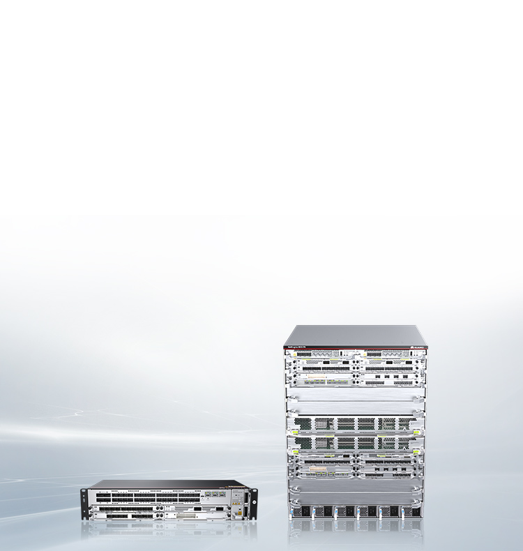 Huawei NetEngine 80E