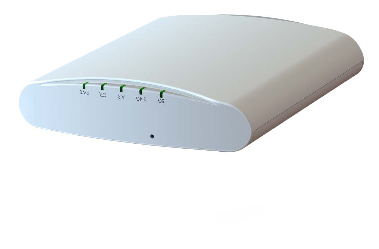 Ruckus Networks Ruckus P310