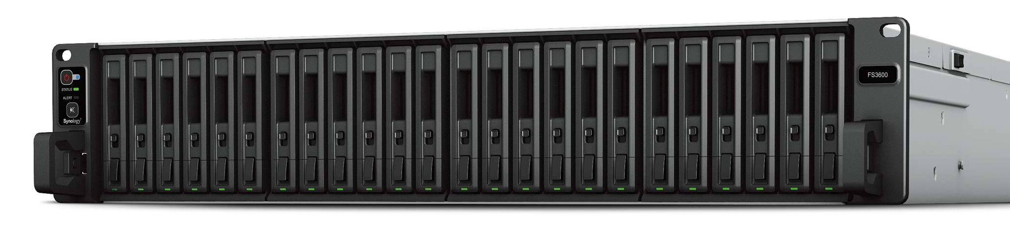 Synology FS3600